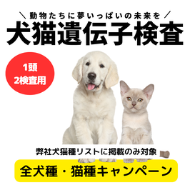 1頭→2検査同時申込み専用