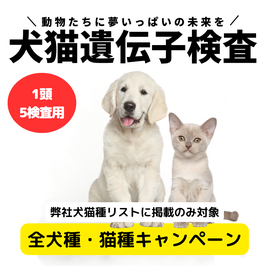 1頭→5検査同時申込み専用