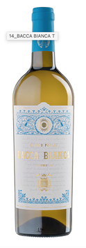 Bacca Bianca