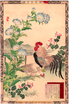 楳嶺　楳嶺花鳥画譜　キキョウ・ニワトリ