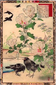 楳嶺　楳嶺花鳥画譜　ムクゲ・カラス