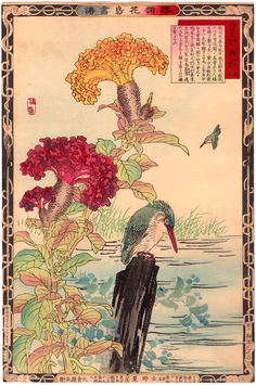 楳嶺　楳嶺花鳥画譜　ケイトウ・カワセミ