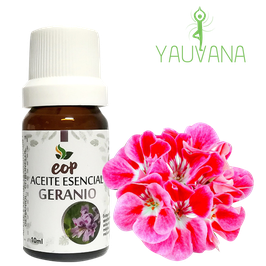 Aceite Esencial de Geranio / Geranium (Pelargonium graveolens) 100% Puro - Frasco x 10 ML