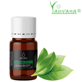 Aceite Esencial de Arbol de té / Tea tree Oil (Melaleuca alternifolia)  Orgánico - Frasco x 5 ml