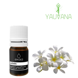 Aceite Esencial de Jazmín / Jasmine (Jasminum Grandiflorum) 100% Puro - Frasco x 2 ml