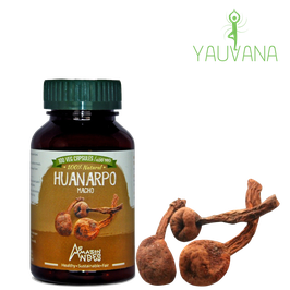 Huanarpo Macho (Jatropha Macrantha) - Frasco x 100 cápsulas x 400 mg c/u