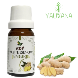 Aceite Esencial de Jengibre - Kión / Ginger (Zingiber officinale) 100% Puro - Frasco x 10 ml