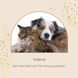 Webinar "Den Abschied vom Tier bewusst gestalten"