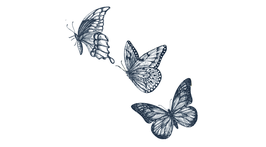 SIOOU - Tatouage éphémère Envolée de papillons
