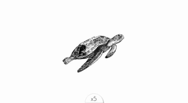 SIOOU - Tatouage éphémère Tortue