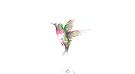 SIOOU - Tatouage éphémère Colibri