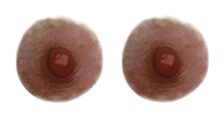 SIOOU - Tatouage éphémère Aréole - Brun