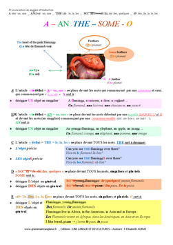 POSTERS EDUCATIFS AU CHOIX ANGLAIS et FRANÇAIS - Apprendre l'anglais en lisant!