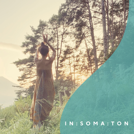IN:SOMA:TON