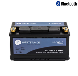 WATTSTUNDE® Lithium 100Ah LiFePO4 Batterie LIX100-D (DIN)