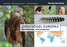 Europäische Greifvögel - Lernkarten für die Falknerprüfung