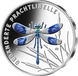 5 Euro Münze 2023 "PRACHTLIBELLE" Stempelglanz