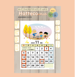 Hatteco®11月　5セット入り