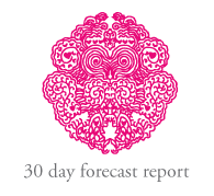 30 Day Forecast Report