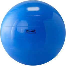 Gymnic® Gymnastikball Ø 95 cm