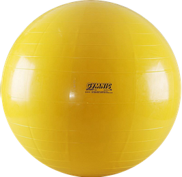 Gymnic® Gymnastikball Ø 45 cm
