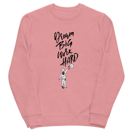 Dream Big Sweater pink