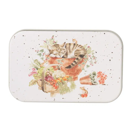 WD Dose Purrfect Birthday