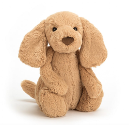 Jellycat bashful toffee puppy