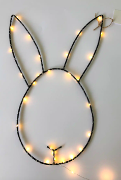 VRACO bunny