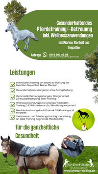 Gesunderhaltendes Pferdetraining/-Betreuung inkl. Wellnessanwendung (Wärme u./o. Vibrationsgamaschen) ODER Jungpferde Kick-OFF Training (verhaltensauffälliger Pferde)