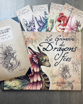 Lot le grimoire des dragons fées