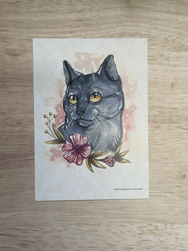 carte postale " Ma petite encyclopédie des chats" chat chartreux