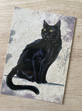 carte postale "chats, charmes & sorcelleries" chat noir