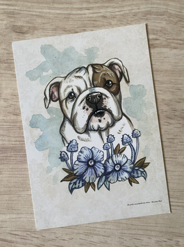 carte postale "ma petite encyclopédie des chiens" bulldog anglais