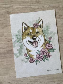 carte postale "ma petite encyclopédie des chiens" shiba Inu