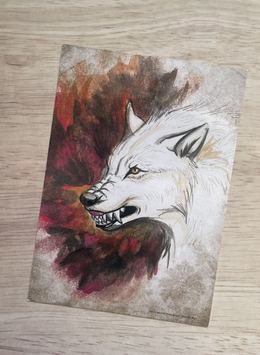 carte postale loup blanc "sur les traces des loups-garous"
