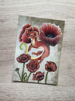 carte postale "le grimoire des dragons fées"dragon coquelicot