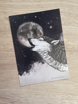 carte postale loup noir "sur les traces des loups-garous"
