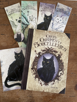 "Chats, charmes et sorcelleries" lot