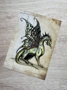 carte postale dragon papillon "le grimoire des dragons"