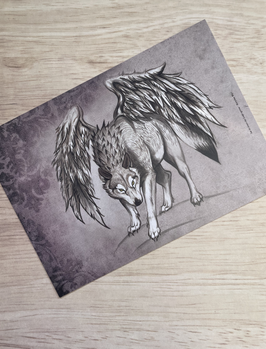 carte postale loup ailé "sur les traces des loups-garous"