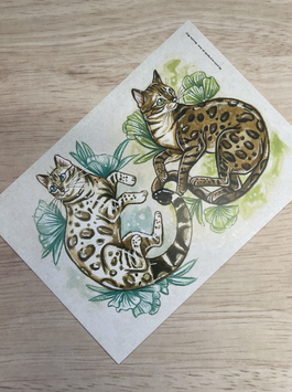 carte postale " Ma petite encyclopédie des chats" chat Bengal