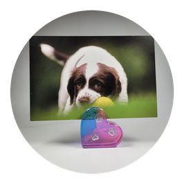 Fotohalter in Herzform
