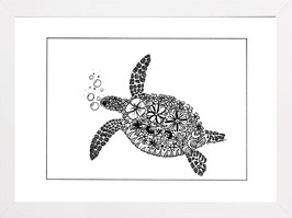 Tortue 2