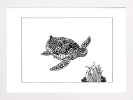 Tortue 1