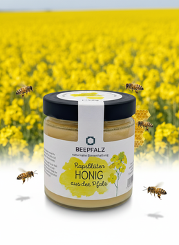 Rapsblütenhonig Cremig 500g