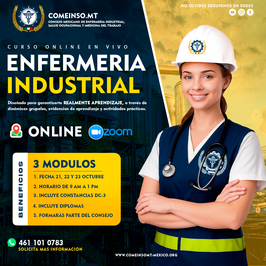 ENFERMERIA INDUSTRIAL EN LINEA