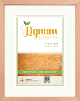 Wechselrahmen Lignum - Buche, 20 x 20 mm