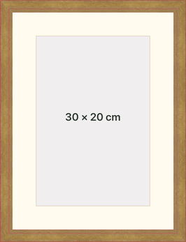 Urkundenrahmen_Gold klassisch_für Urkunden DIN A4 bzw. 20x30 cm