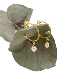 Ohrringe Edelstahl Creolen vergoldet, gedreht mit Süßwasserperlen